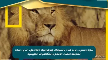 تنويه رسمي.. تردد قناة ناشيونال جيوغرافيك 2025 على النايل سات لمتابعة أفضل الأفلام والوثائقيات الطبيعية